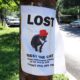 Missing Missy: The Lost Cat Poster Drama