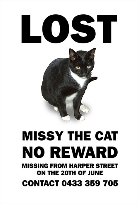 Missing Missy: No Reward