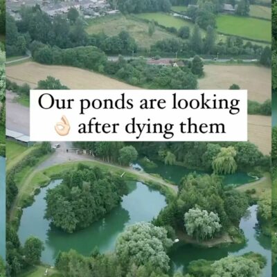nice ponds