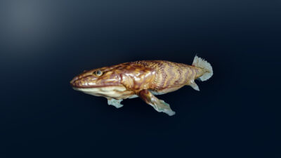 Digital reconstruction of the prehistoric fish Pandericthys
