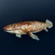 Digital reconstruction of the prehistoric fish Pandericthys