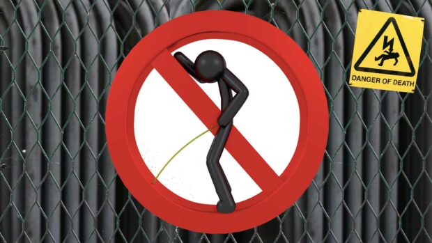 What Would Happen If You Peed On An Electric Fence? --- Peeing On An Electric Fence