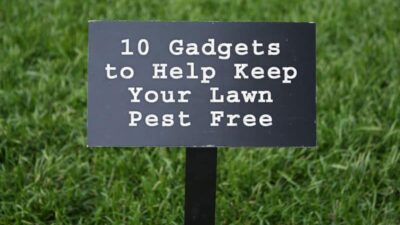 pest free lawn