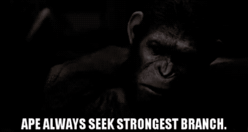 Ape Always Seek Strongest Branch - Planet Of The Apes Quotes - Quotes About Family And Friends