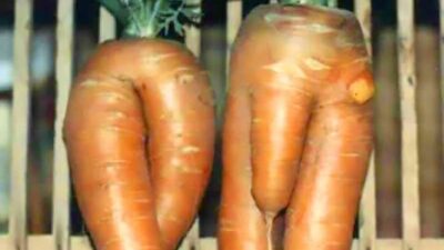 plant porn carrots