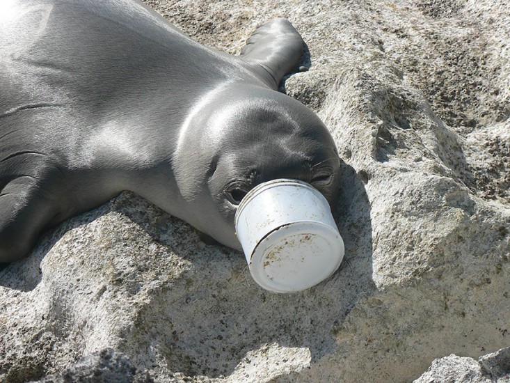 Pollution-Seal-Can