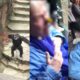Monkey Perfects Poop Toss on Innocent Grandma's Face