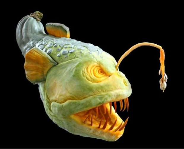 Anglerfish Gourd