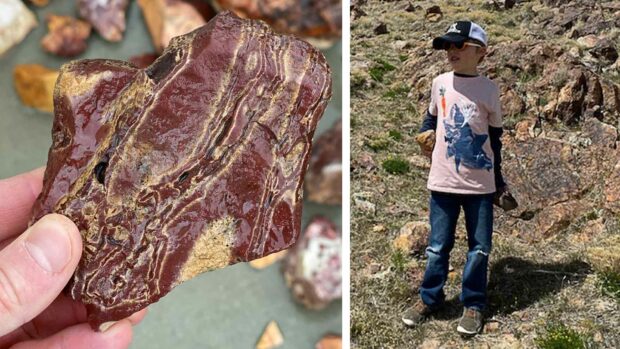 Rockhounding Wonderstones In Utah - Rock Hunting