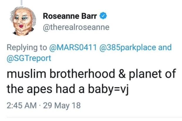 Roseanne Barr'S Racist Tweet - Is She Taking Too Much Roseambian?