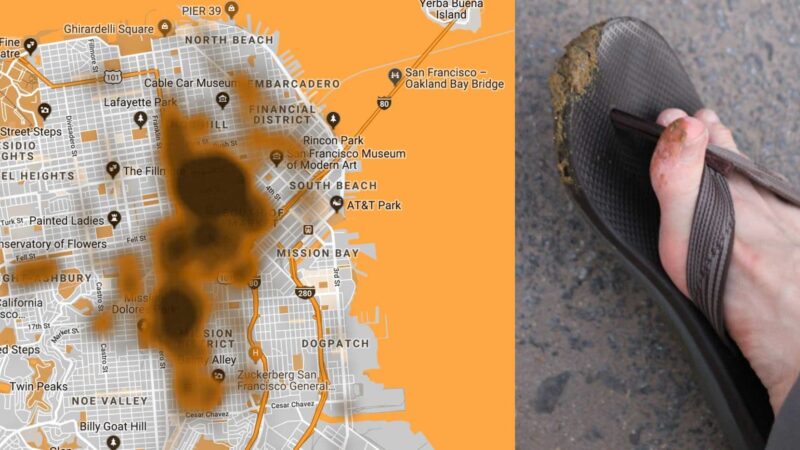 San Francisco: Poop On Flip-Flop