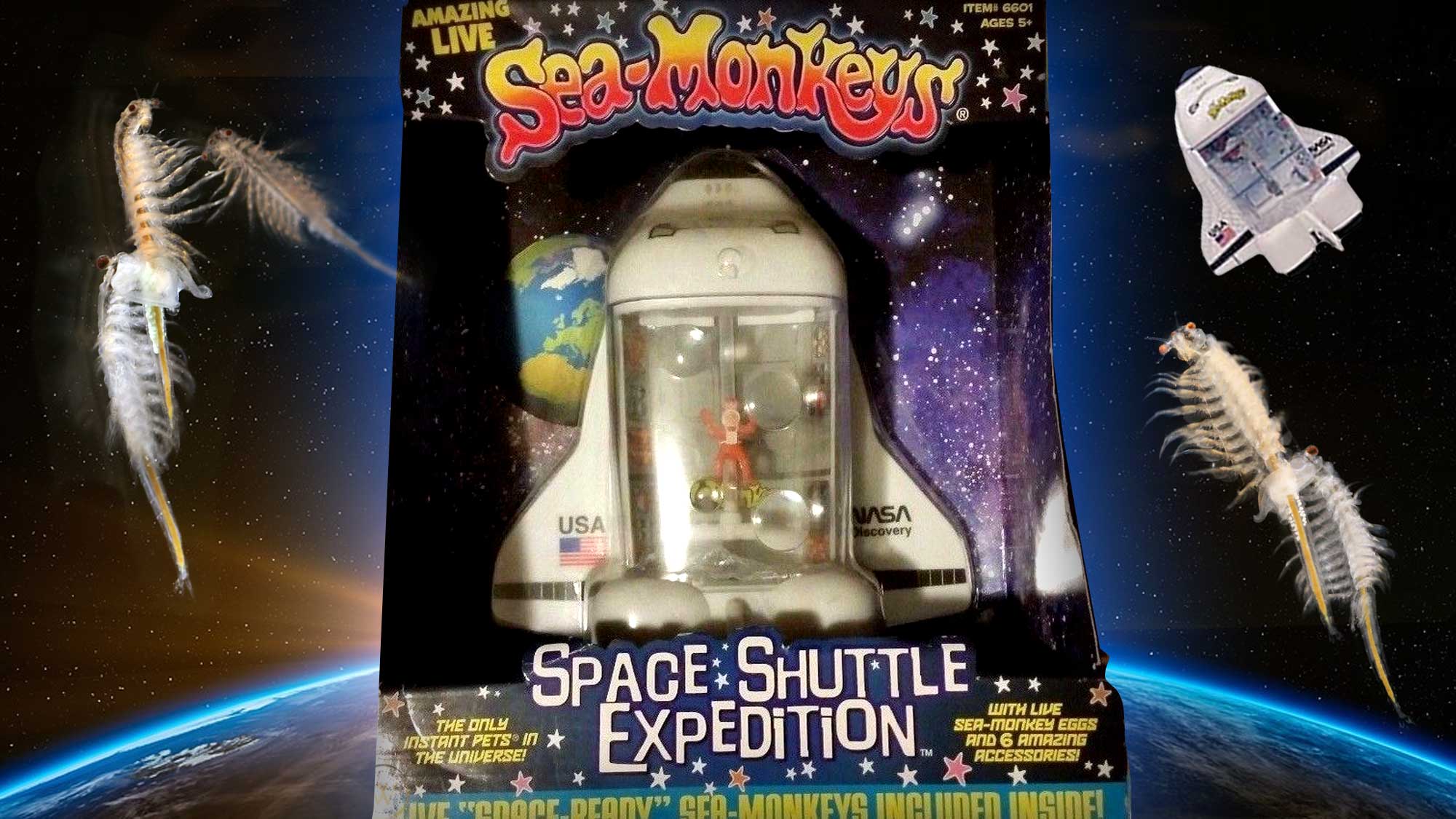 sea monkey figure