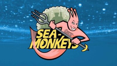 sea monkeys feature