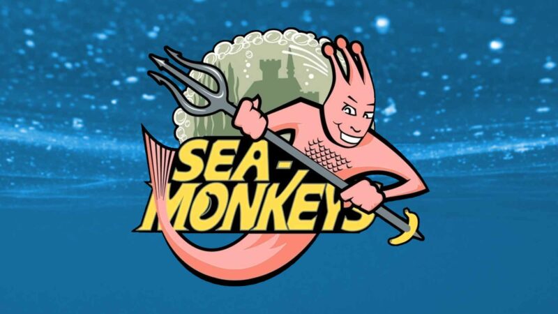 Why Sea-Monkeys Are The Best Pets