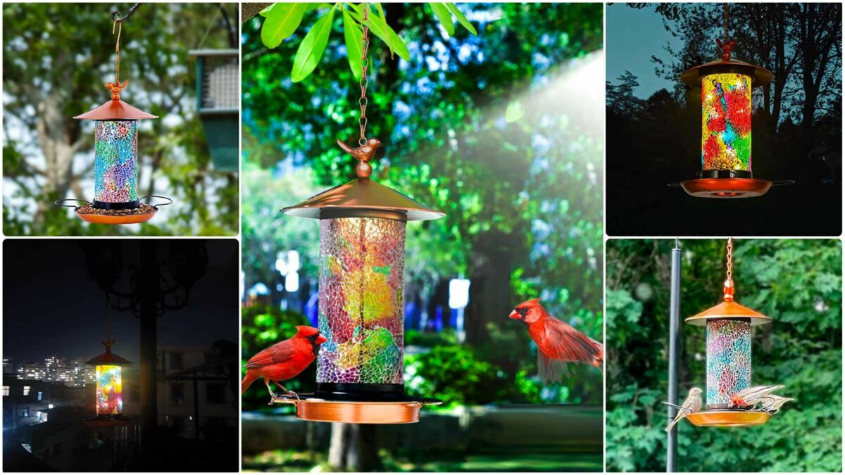 Solar Bird Feeder For Outside - Unique Bird-Gifts