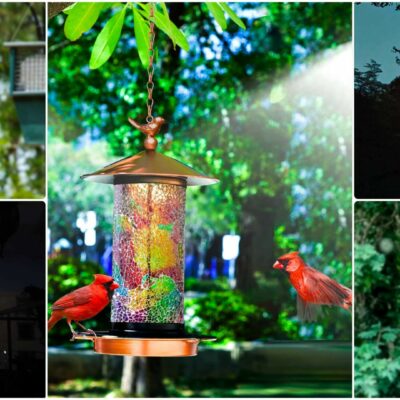 Solar Bird Feeder for Outside - Unique Bird-Gifts