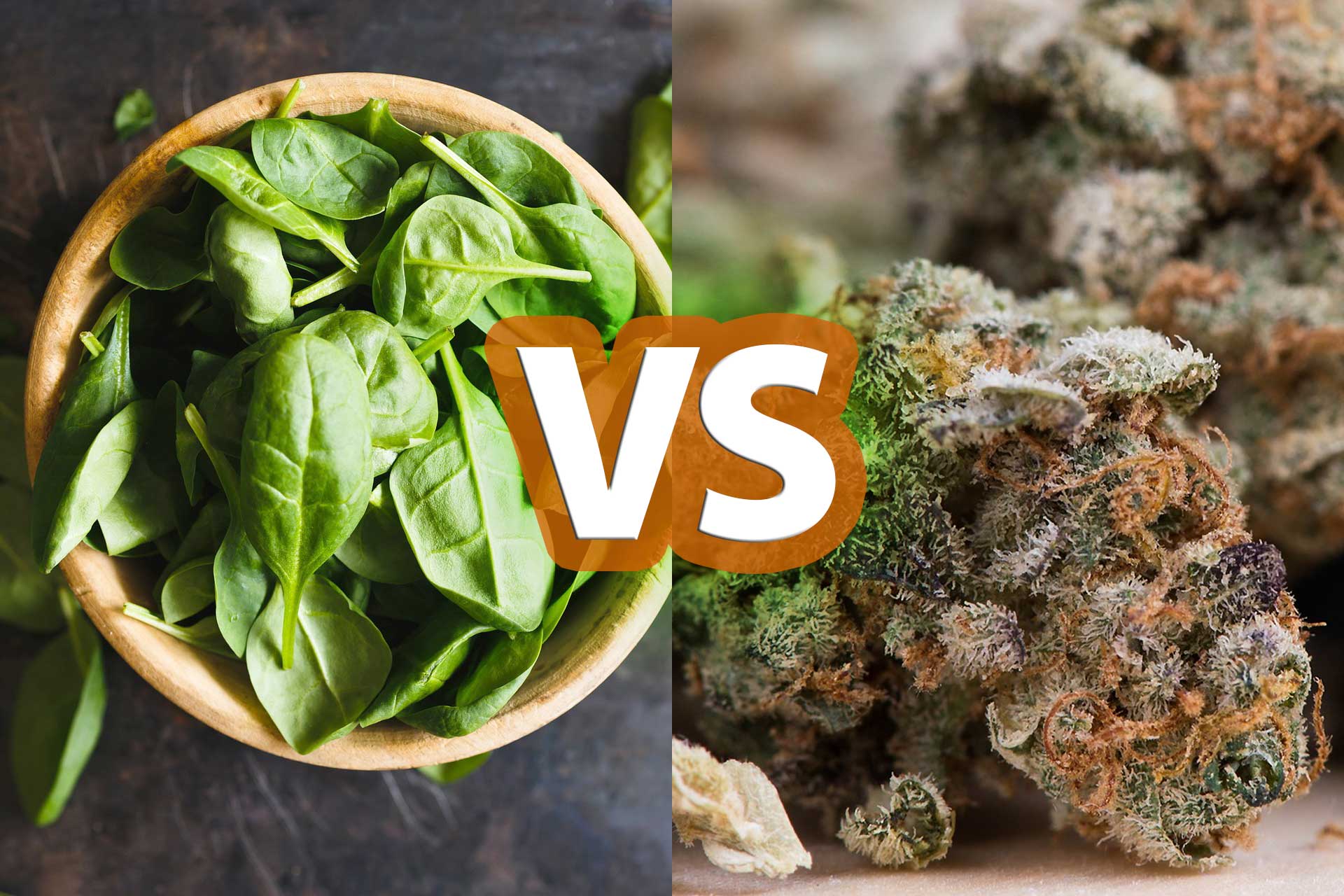 Spinach vs Marijuana: Which One Is More Likely To Kill You?