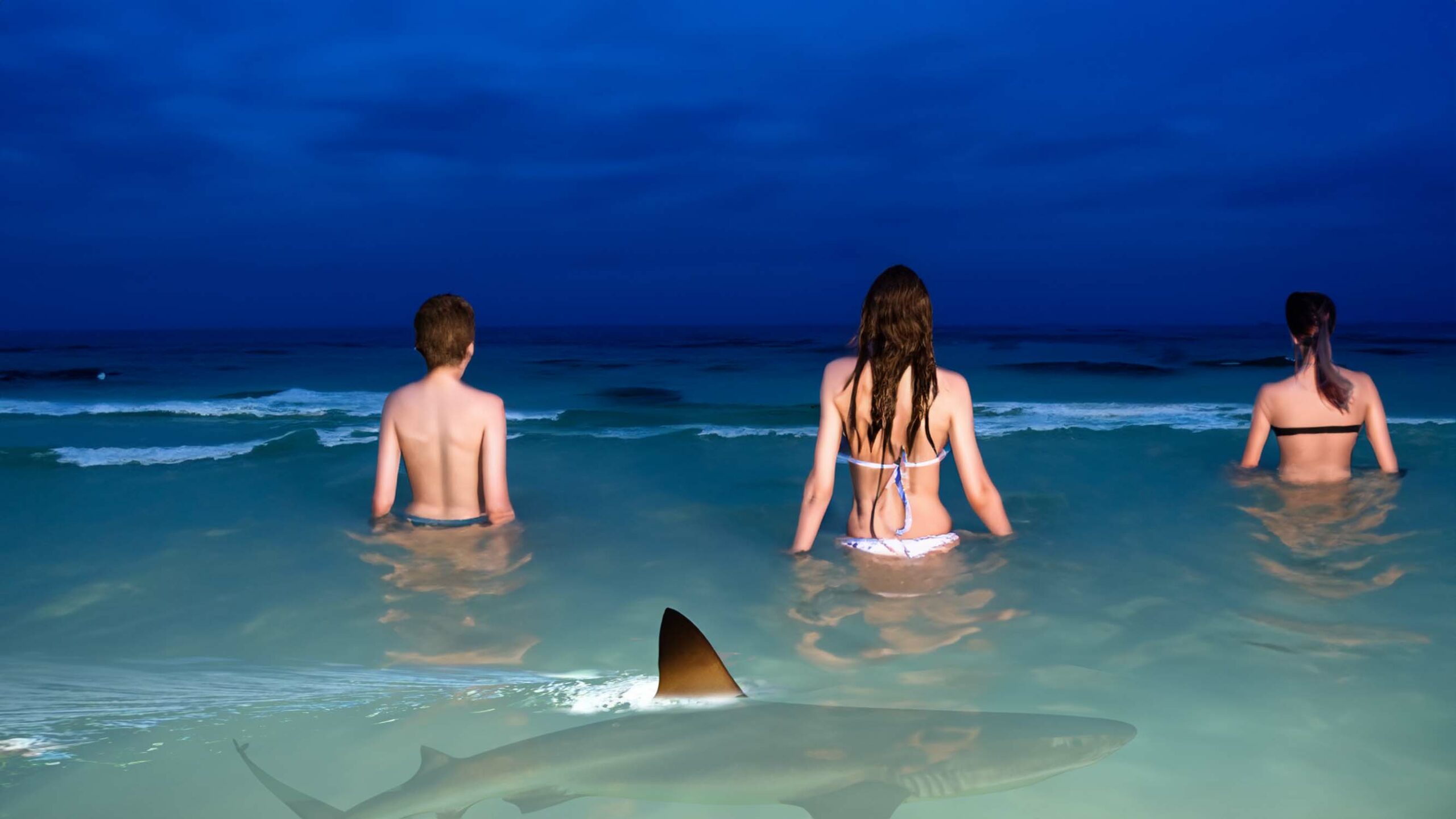 Three Teenagers Swimming With Sharks At Night