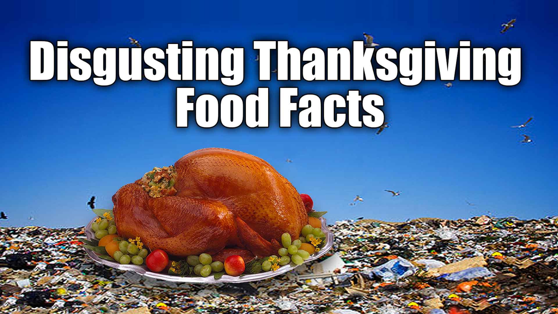 5 Shocking Thanksgiving Food Facts