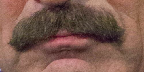 Tom Selleck's Mustache