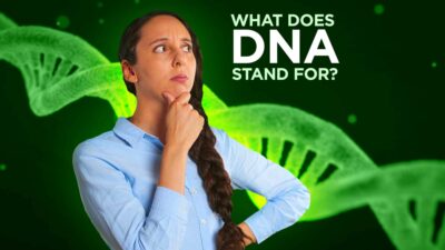 What Does Dna Stand For?