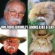 wilford brimley looks like a cat