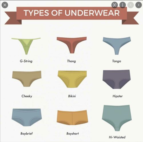 A Visual Guide To Women's Underwear - Styles, Types, And How To Choose The Right Fit