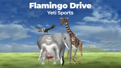 yeti sports flamingo drive
