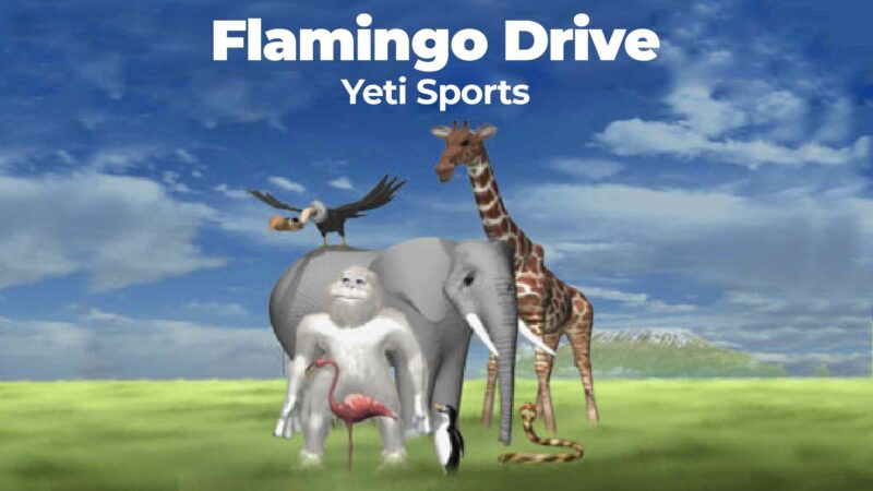 Flamingo Drive: Yeti Sports