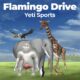 yeti sports flamingo drive