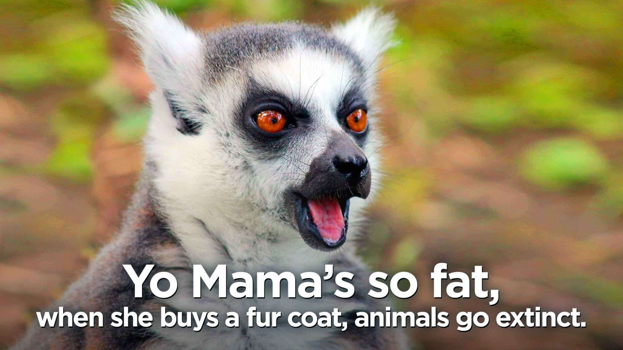 Yo Mama'S So Fat, When She Buys A Fur Coat, Animals Go Extinct.